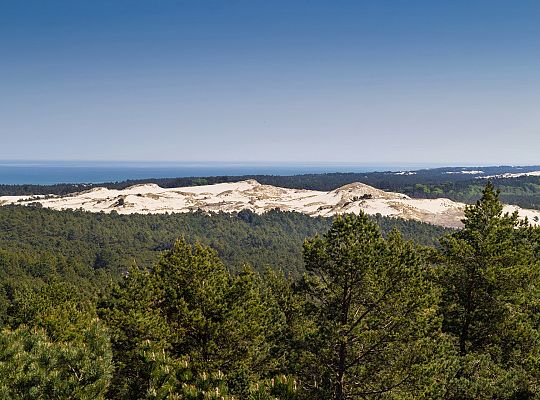 Moving dunes in Slowinski National Park