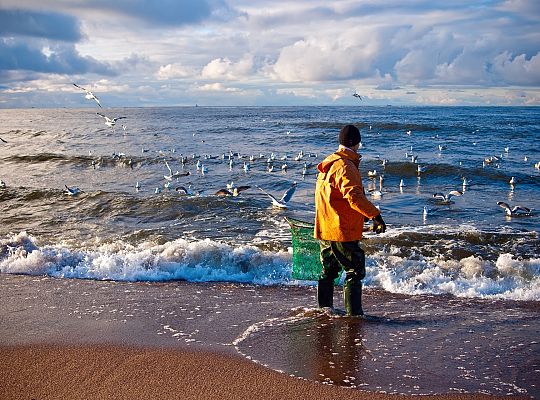 Search for amber on the Baltic Sea