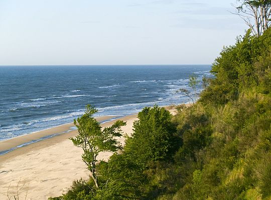 The cliff coast on the Baltic Sea