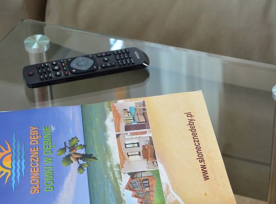 Sunny Oak Trees in  Dębina