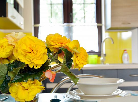 Rest in comfortable cottages in Dębina