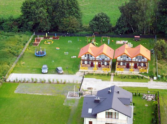 Sunny Oak Trees in Dębina