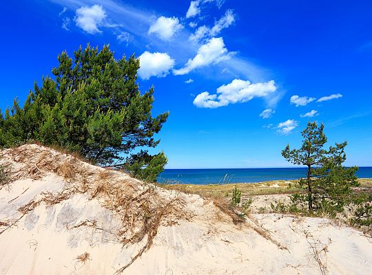 Dunes on the Baltic Sea
