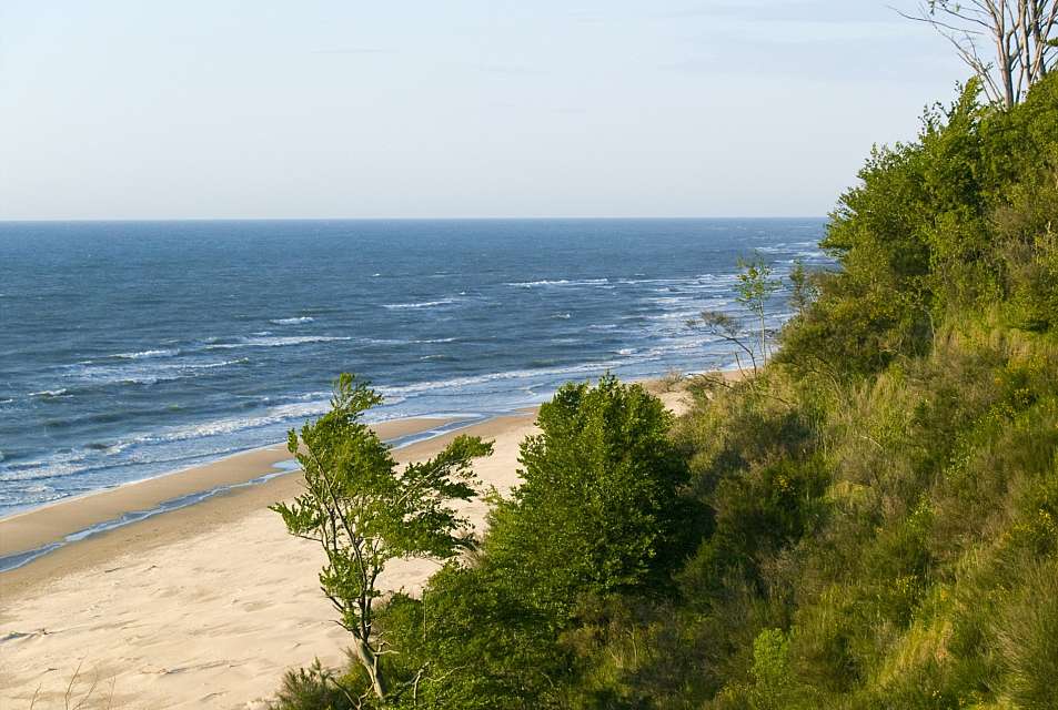 Attraction in the surrounding area